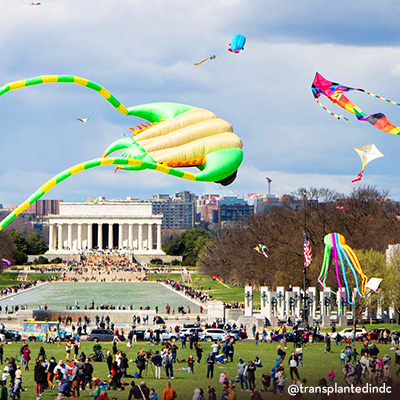 @transplantedindc Kite Festival, kites flying over National Mall 