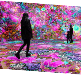 two individuals in ARTECHOUSE space of virtually projected flowers and butterfliers 